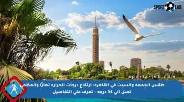 طقس الجمعة والسبت في القاهرة: ارتفاع درجات الحرارة نهارًا والعظمى تصل إلى 34 درجة – تعرف على التفاصيل